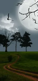 Moonlit path with trees under a serene night sky.