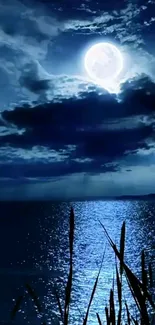 Night ocean with full moon and tranquil water reflections in deep blue hues.