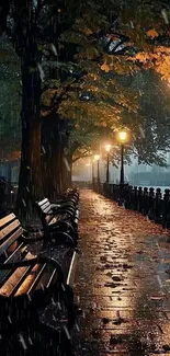 Nighttime walkway with rain and glowing lamps.