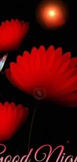 Red flowers and butterfly on black background with 'Good Night' text.