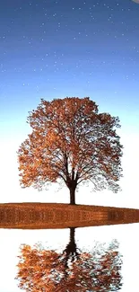 Lone tree reflects in a starry night sky with a visible moon.