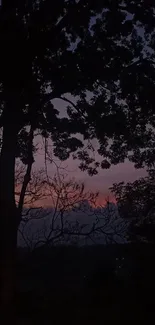 Silhouette of trees against a twilight sky.