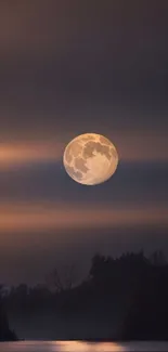 Tranquil night sky with full moon and forest silhouette.