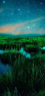 Starry night sky over green fields and calm waters, creating a serene landscape.