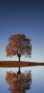 A solitary tree reflected on water beneath a starlit, dark blue night sky.