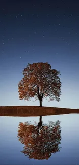 Lone tree reflected on a quiet lake under a starry night sky.