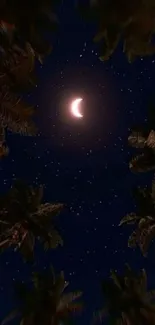 Crescent moon and stars with silhouetted palm trees at night.