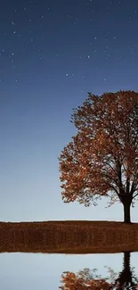 A lone tree under a starry night sky, reflecting in water.