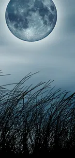 Full moon with silhouetted grass under a night sky wallpaper.