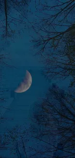 Serene dark blue night sky with moon and silhouetted trees.