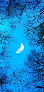 Crescent moon in a blue sky with tree silhouettes.