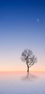 Serene night sky with tree and crescent moon on horizon.