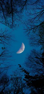 Crescent moon against a blue night sky with silhouetted trees surrounding.