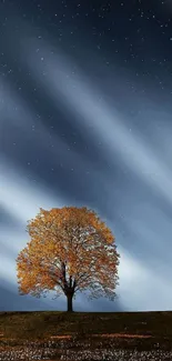 Solitary tree under a starry night sky wallpaper.