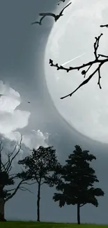 Mobile wallpaper of full moon with silhouetted trees and clouds.