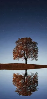 Lone tree reflecting on a calm lake under a starry night sky.