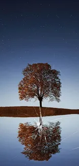 Lone tree reflecting in a calm lake under a starry night sky on mobile wallpaper.
