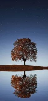 Lone tree reflecting in starlit water at night.