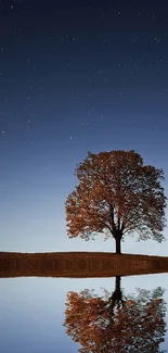 Lone tree reflected in still lake under a starry night sky.