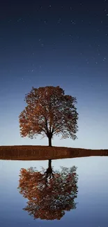 A lone tree reflected in a tranquil lake under a starry night sky.