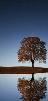 Nature wallpaper with lone tree reflection under starry night sky.