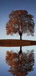 Lone tree reflected in a calm lake under a starry night sky.