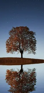 A lone tree reflected in calm water against a midnight sky with stars.