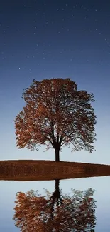 Serene reflection of a tree under a starry sky on a mobile wallpaper.