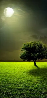 A lone tree stands under the luminous moon in a serene grass field at night.