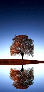 Starry night sky with tree reflected in calm water.