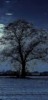 Silhouette of a tree under a moonlit night sky.