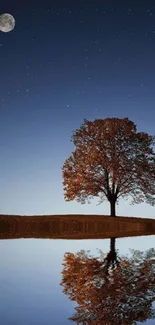 Solitary tree reflected in lake under a starry night sky.