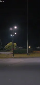 Quiet urban street at night with glowing streetlights.