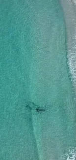 Aerial view of turquoise ocean with gentle waves and sandy shorelines.