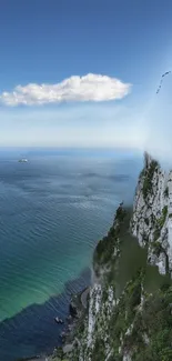 Majestic ocean view from a cliff under a clear blue sky.