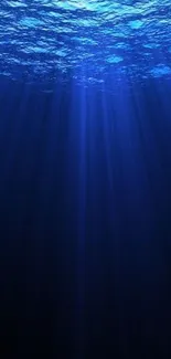 Sunlit depths of a blue ocean create a peaceful mobile wallpaper.