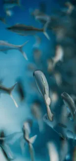 Underwater scene with fish swimming in calm blue ocean.