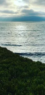 Serene coastal landscape with ocean and green foreground.