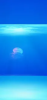 Serene blue ocean wallpaper with jellyfish