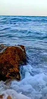 Ocean waves crashing on a rocky shore under a bright sky.