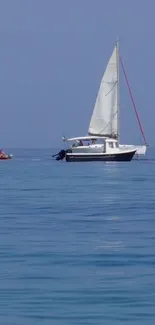 Sailboats peacefully glide on a tranquil blue ocean.