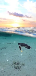 Turtle swimming under ocean sunrise in serene mobile wallpaper.