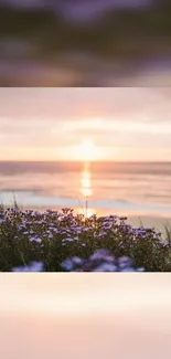 Serene ocean sunset with purple flowers in foreground.