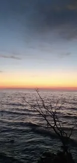 Serene ocean sunset with orange horizon.