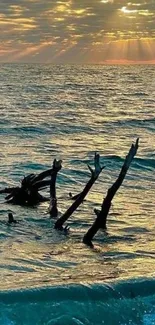 Sunset ocean view with driftwood and golden sky.