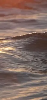 Ocean waves at sunset with a warm glow.