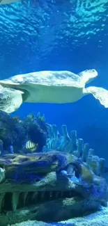 Majestic sea turtle glides through vibrant underwater coral reef.