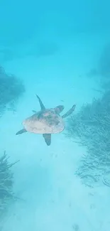 Serene underwater scene with a sea turtle swimming over a coral reef.