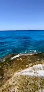 Serene ocean view with blue water and rocky shore under clear sky.