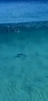 Tranquil deep blue ocean with swimmers.